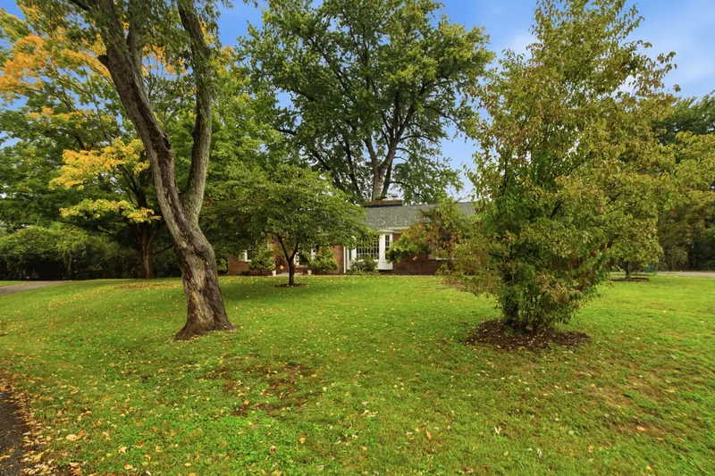 Front yard with mature trees