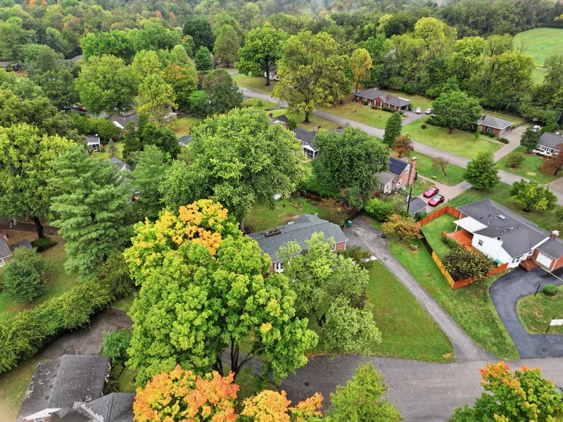 The neighborhood from above