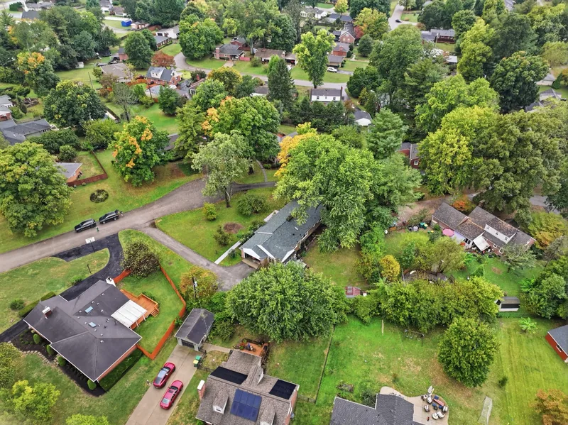 The neighborhood from above