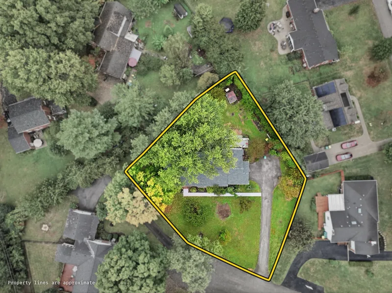 The lot from above, with its approximate property lines
